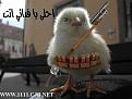 اضغط على الصورة لنسخة أكبر

الإسم:	3.JPG
القراءات:	207
الحجم:	22.5 KB
ID:	1647399