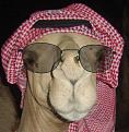 اضغط على الصورة لنسخة أكبر

الإسم:	??? ????.jpg
القراءات:	145
الحجم:	80.8 KB
ID:	1647611