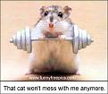 اضغط على الصورة لنسخة أكبر

الإسم:	mouseworkout13be.jpg
القراءات:	44
الحجم:	17.8 KB
ID:	1648232