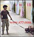 اضغط على الصورة لنسخة أكبر

الإسم:	t3deb-14.jpg
القراءات:	94
الحجم:	9.9 KB
ID:	1648475