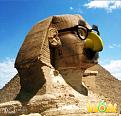 اضغط على الصورة لنسخة أكبر

الإسم:	w6w2005041309335139a706a7e.jpg
القراءات:	78
الحجم:	118.5 KB
ID:	1648943