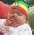 اضغط على الصورة لنسخة أكبر

الإسم:	170.gif
القراءات:	71
الحجم:	54.2 KB
ID:	1648967