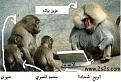اضغط على الصورة لنسخة أكبر

الإسم:	algrdah.jpg
القراءات:	61
الحجم:	31.8 KB
ID:	1649166