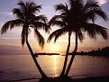 اضغط على الصورة لنسخة أكبر

الإسم:	negril_sunset1.jpg
القراءات:	139
الحجم:	207.0 KB
ID:	1649389
