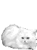 اضغط على الصورة لنسخة أكبر

الإسم:	kat_1.gif
القراءات:	83
الحجم:	55.6 KB
ID:	1649984