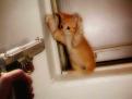 اضغط على الصورة لنسخة أكبر

الإسم:	post-9-1078374197.jpg
القراءات:	82
الحجم:	33.7 KB
ID:	1650526