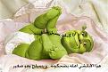 اضغط على الصورة لنسخة أكبر

الإسم:	?????.jpg
القراءات:	59
الحجم:	66.4 KB
ID:	1651271