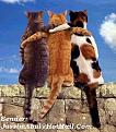 اضغط على الصورة لنسخة أكبر

الإسم:	5fa4b1b8f2.jpg
القراءات:	74
الحجم:	31.3 KB
ID:	1654869