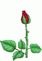 اضغط على الصورة لنسخة أكبر

الإسم:	bloom.gif
القراءات:	32
الحجم:	20.8 KB
ID:	1655244