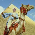 اضغط على الصورة لنسخة أكبر

الإسم:	CAMEL.jpg
القراءات:	56
الحجم:	62.9 KB
ID:	1655356