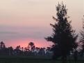 اضغط على الصورة لنسخة أكبر

الإسم:	DSC02126.jpg
القراءات:	32
الحجم:	58.4 KB
ID:	1655533