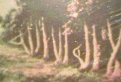 اضغط على الصورة لنسخة أكبر

الإسم:	281568727.gif
القراءات:	54
الحجم:	41.0 KB
ID:	1655740