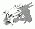 اضغط على الصورة لنسخة أكبر

الإسم:	shado7.gif
القراءات:	28
الحجم:	24.1 KB
ID:	1656235