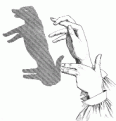 اضغط على الصورة لنسخة أكبر

الإسم:	shado8.gif
القراءات:	27
الحجم:	8.1 KB
ID:	1656236