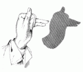اضغط على الصورة لنسخة أكبر

الإسم:	shado10.gif
القراءات:	48
الحجم:	11.8 KB
ID:	1656238