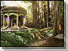 magicalfantasyforest screensaver 100