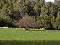 Photo 0006