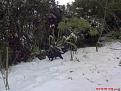 DSC00149