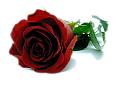7354278 2bff3f1b35