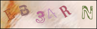 صورة التسجيل