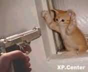 226 XP.JPG