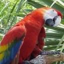 animal010.jpg