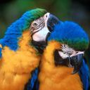 animal015.jpg