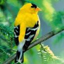 animal019.jpg