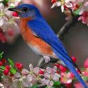 animal021.jpg