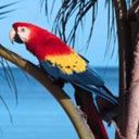animal026.jpg