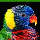 animal029.jpg