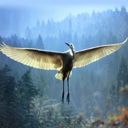 animal030.jpg