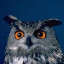 animal032.jpg