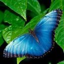animal063.jpg