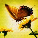 animal069.jpg