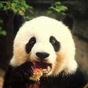 animal081.jpg