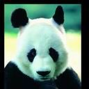 animal082.jpg