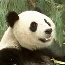 animal083.jpg