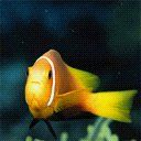 animal110.jpg