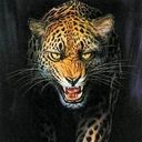 animalc017.jpg