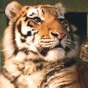 animalc033.jpg