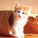 animalc036.jpg