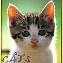 animalc042.jpg
