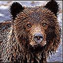 bear1.jpg