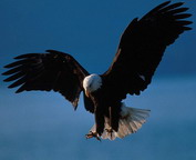 misc_00104.jpg