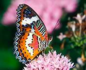 misc_00119.jpg