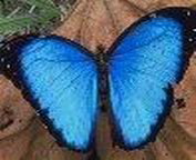 misc_00122.jpg