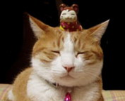 misc_00238.jpg