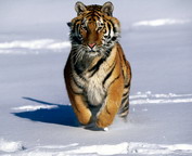 misc_01156.jpg