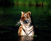 misc_01161.jpg